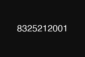 8325212001