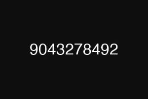 9043278492