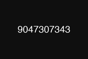 9047307343