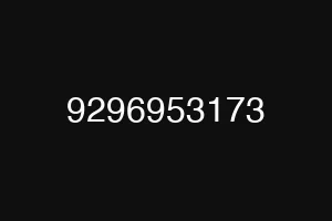 9296953173