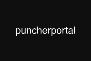 puncherportal