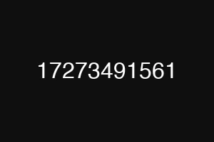17273491561