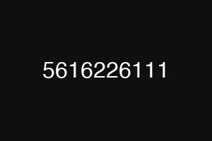 5616226111