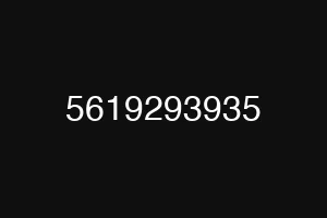 5619293935