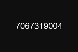 7067319004
