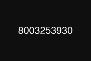8003253930