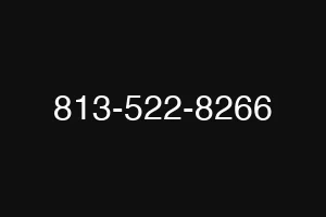 813-522-8266