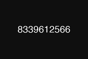 8339612566
