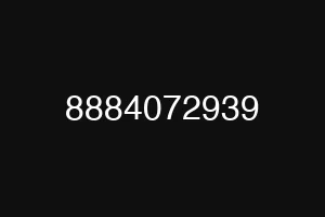 8884072939