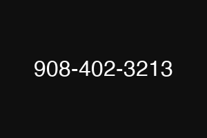 908-402-3213