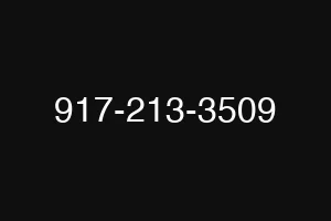 917-213-3509