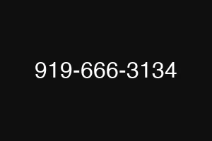 919-666-3134
