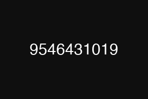9546431019