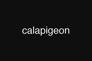 calapigeon